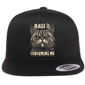 Rage Is Consuming Me Cat Meme Flat Bill Trucker Hat