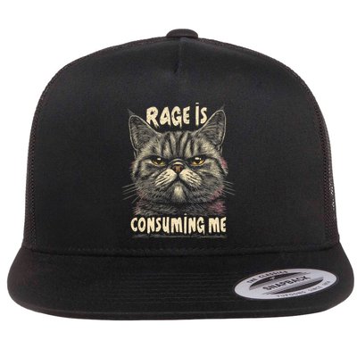 Rage Is Consuming Me Cat Meme Flat Bill Trucker Hat