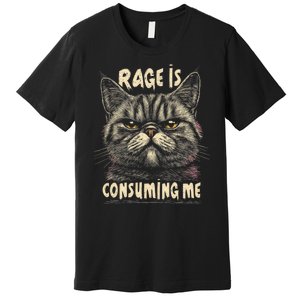 Rage Is Consuming Me Cat Meme Premium T-Shirt