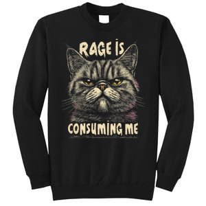 Rage Is Consuming Me Cat Meme Tall Sweatshirt