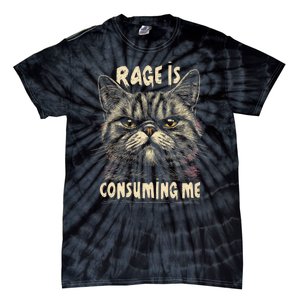 Rage Is Consuming Me Cat Meme Tie-Dye T-Shirt