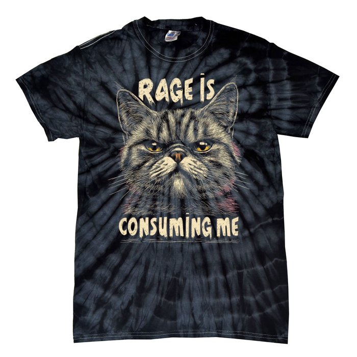 Rage Is Consuming Me Cat Meme Tie-Dye T-Shirt