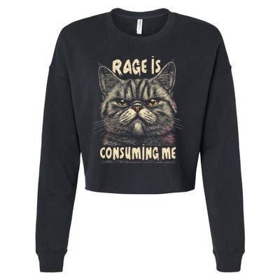 Rage Is Consuming Me Cat Meme Cropped Pullover Crew