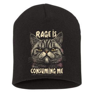 Rage Is Consuming Me Cat Meme Short Acrylic Beanie