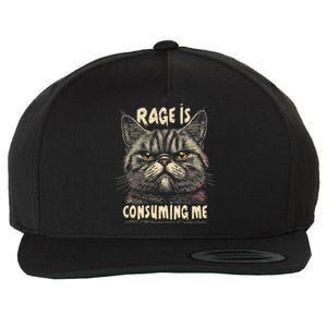 Rage Is Consuming Me Cat Meme Wool Snapback Cap