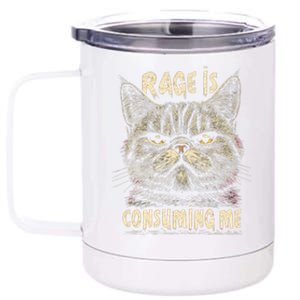 Rage Is Consuming Me Cat Meme 12 oz Stainless Steel Tumbler Cup