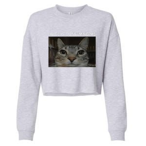 Rage Is Consuming Me Cat Meme Silly Staring Cat Funny Meme Cropped Pullover Crew