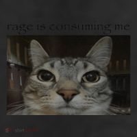 Rage Is Consuming Me Cat Meme Silly Staring Cat Funny Meme Trucker Hat