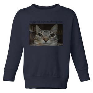 Rage Is Consuming Me Cat Meme Silly Staring Cat Funny Meme Toddler Sweatshirt