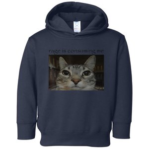 Rage Is Consuming Me Cat Meme Silly Staring Cat Funny Meme Toddler Hoodie