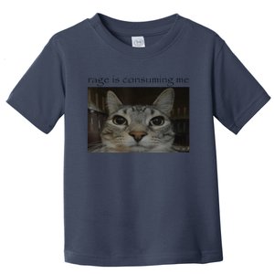 Rage Is Consuming Me Cat Meme Silly Staring Cat Funny Meme Toddler T-Shirt