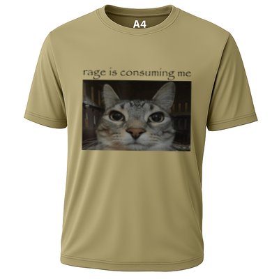 Rage Is Consuming Me Cat Meme Silly Staring Cat Funny Meme Cooling Performance Crew T-Shirt