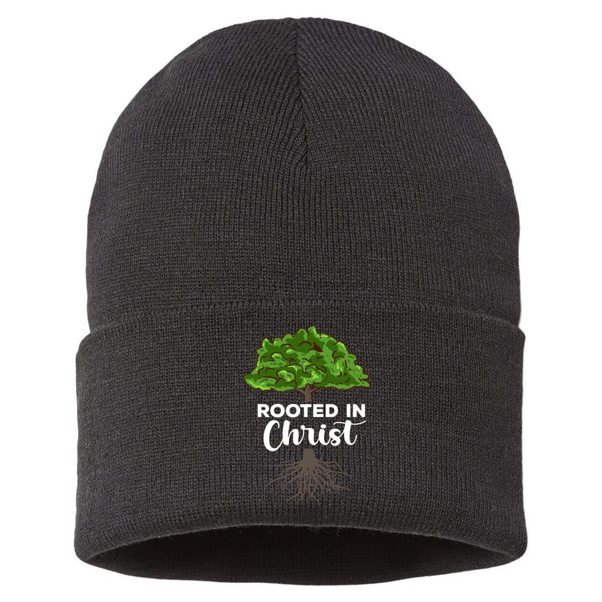 Rooted In Christ Theology Jesus Christ Christian Faith Sustainable Knit Beanie