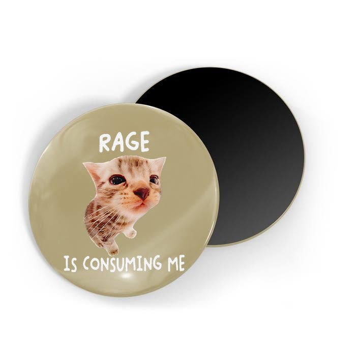 Rage Is Consuming Me Cat Meme Magnet