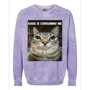 Rage Is Consuming Me Cat Colorblast Crewneck Sweatshirt