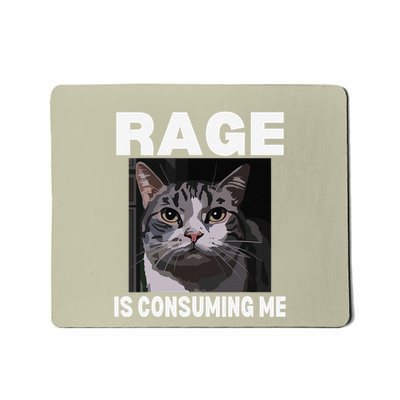 Rage Is Consuming Me Meme Cat Meme Oddly Specific Memes Joke Mousepad