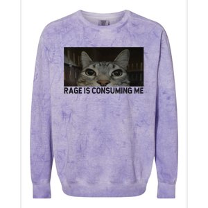 Rage Is Consuming Me Cat Meme Silly Staring Cat Funny Meme Colorblast Crewneck Sweatshirt