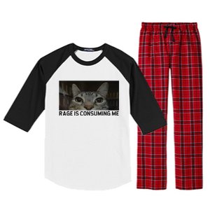 Rage Is Consuming Me Cat Meme Silly Staring Cat Funny Meme Raglan Sleeve Pajama Set