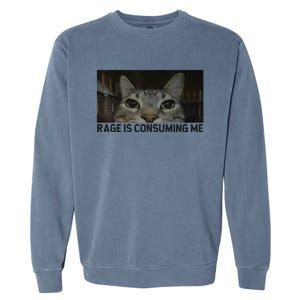 Rage Is Consuming Me Cat Meme Silly Staring Cat Funny Meme Garment-Dyed Sweatshirt