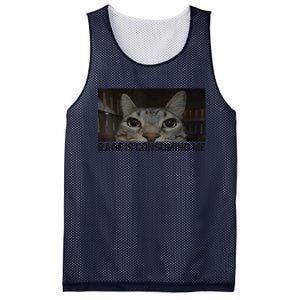 Rage Is Consuming Me Cat Meme Silly Staring Cat Funny Meme Mesh Reversible Basketball Jersey Tank