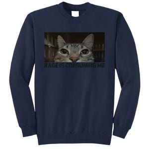 Rage Is Consuming Me Cat Meme Silly Staring Cat Funny Meme Tall Sweatshirt