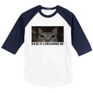 Rage Is Consuming Me Cat Meme Silly Staring Cat Funny Meme Baseball Sleeve Shirt