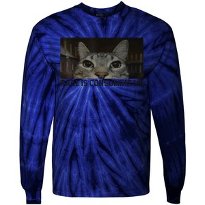 Rage Is Consuming Me Cat Meme Silly Staring Cat Funny Meme Tie-Dye Long Sleeve Shirt