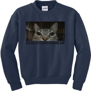 Rage Is Consuming Me Cat Meme Silly Staring Cat Funny Meme Kids Sweatshirt