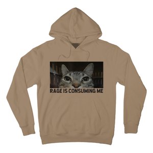 Rage Is Consuming Me Cat Meme Silly Staring Cat Funny Meme Hoodie