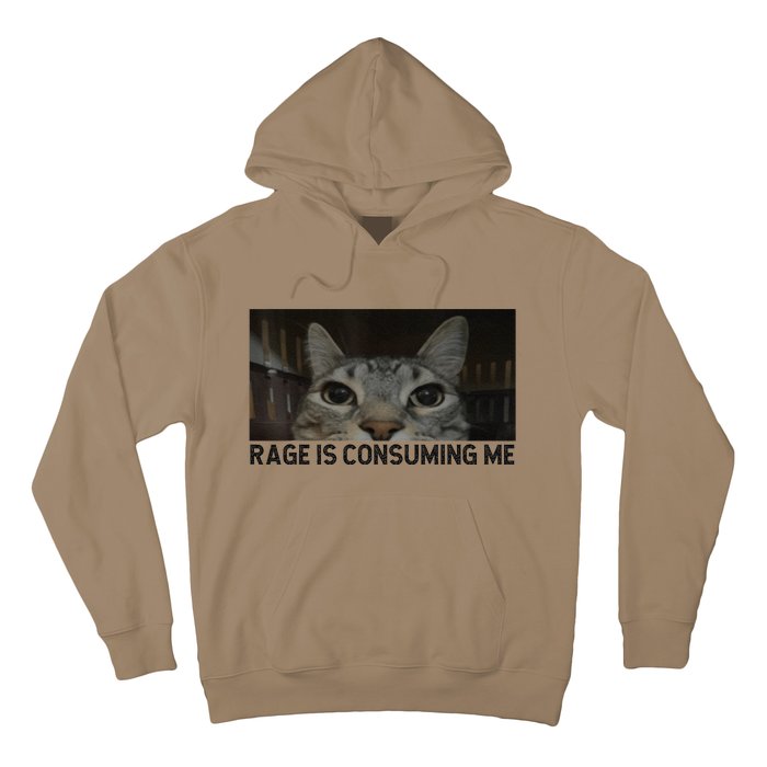 Rage Is Consuming Me Cat Meme Silly Staring Cat Funny Meme Hoodie