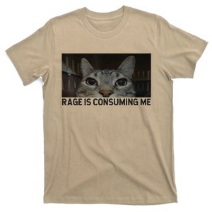 Rage Is Consuming Me Cat Meme Silly Staring Cat Funny Meme T-Shirt