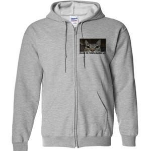 Rage Is Consuming Me Cat Meme Silly Staring Cat Funny Meme Full Zip Hoodie