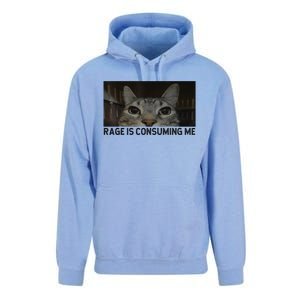 Rage Is Consuming Me Cat Meme Silly Staring Cat Funny Meme Unisex Surf Hoodie