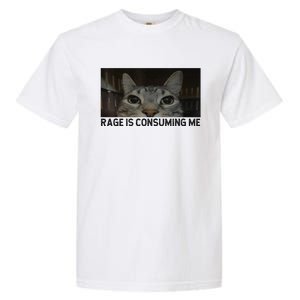 Rage Is Consuming Me Cat Meme Silly Staring Cat Funny Meme Garment-Dyed Heavyweight T-Shirt