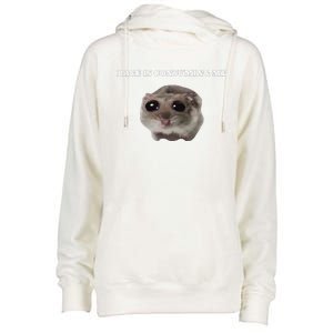 Rage Is Consuming Me Hamster Meme Womens Funnel Neck Pullover Hood