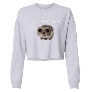 Rage Is Consuming Me Hamster Meme Cropped Pullover Crew