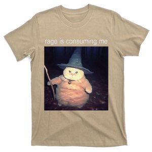 Rage Is Consuming Me Silly Staring Cat Meme T-Shirt