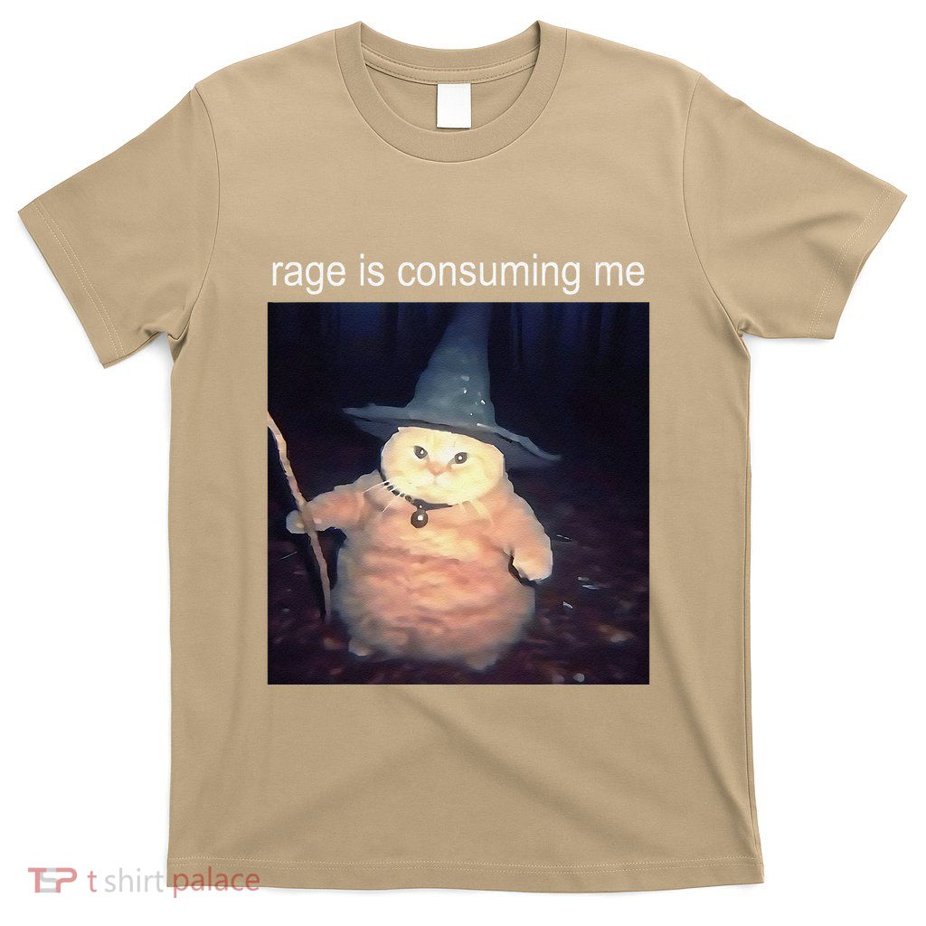 Rage Is Consuming Me Silly Staring Cat Meme T-Shirt