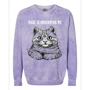 Rage Is Consuming Me Silly Staring Cat Meme Colorblast Crewneck Sweatshirt