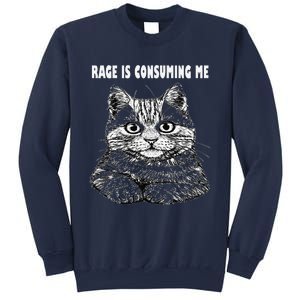 Rage Is Consuming Me Silly Staring Cat Meme Sweatshirt