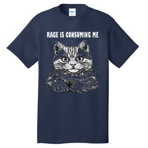 Rage Is Consuming Me Silly Staring Cat Meme Tall T-Shirt