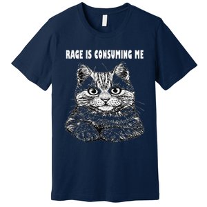 Rage Is Consuming Me Silly Staring Cat Meme Premium T-Shirt