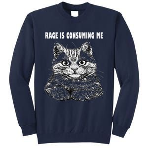 Rage Is Consuming Me Silly Staring Cat Meme Tall Sweatshirt