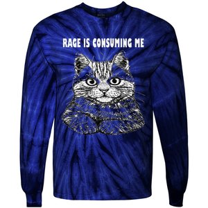 Rage Is Consuming Me Silly Staring Cat Meme Tie-Dye Long Sleeve Shirt