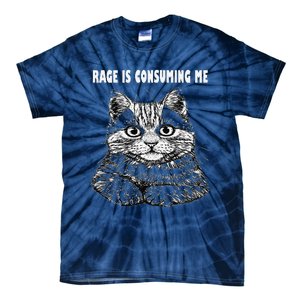 Rage Is Consuming Me Silly Staring Cat Meme Tie-Dye T-Shirt