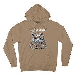 Rage Is Consuming Me Silly Staring Cat Meme Hoodie