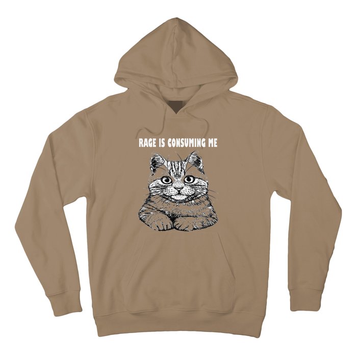 Rage Is Consuming Me Silly Staring Cat Meme Hoodie