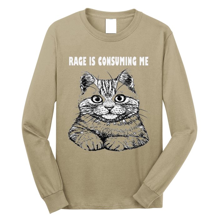 Rage Is Consuming Me Silly Staring Cat Meme Long Sleeve Shirt