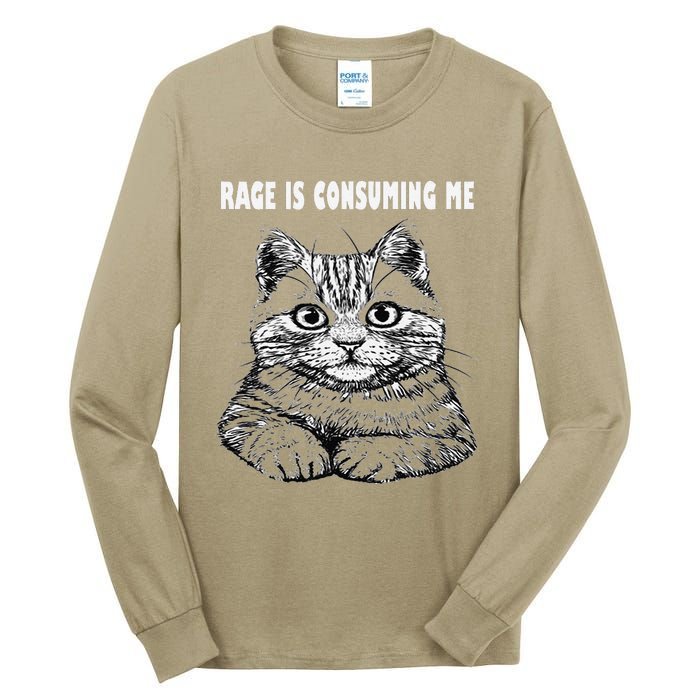 Rage Is Consuming Me Silly Staring Cat Meme Tall Long Sleeve T-Shirt