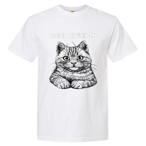 Rage Is Consuming Me Silly Staring Cat Meme Garment-Dyed Heavyweight T-Shirt